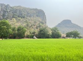  Grundstück zu verkaufen in Mueang Kanchanaburi, Kanchanaburi, Tha Makham