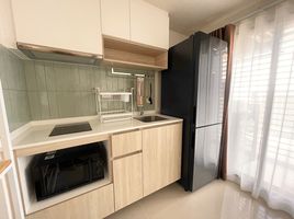 1 Bedroom Apartment for rent at Phyll Phuket by Central Pattana, Wichit, Phuket Town, Phuket