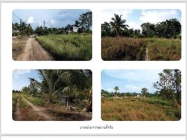  Land for sale in Bang Muang, Takua Pa, Bang Muang