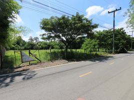  Land for sale in Grand Canyon Water Park, Nam Phrae, Nam Phrae