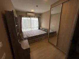 1 Schlafzimmer Wohnung zu verkaufen im Plum Condo Rangsit Alive, Khlong Nueng, Khlong Luang, Pathum Thani