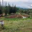  Land for sale in Thung Samo, Khao Kho, Thung Samo