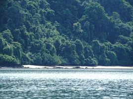  Grundstück zu verkaufen in Mueang Ranong, Ranong, Ngao