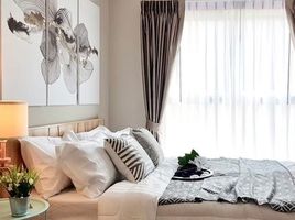 1 Schlafzimmer Wohnung zu vermieten im Plum Condo Ramkhamhaeng, Suan Luang, Suan Luang, Bangkok, Thailand