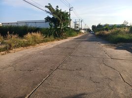  Land for sale in Pathum Thani, Lam Luk Ka, Lam Luk Ka, Pathum Thani