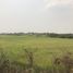  Land for sale in Phitsanulok, Khui Muang, Bang Rakam, Phitsanulok