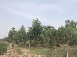  Land for sale in Hua Thale, Mueang Nakhon Ratchasima, Hua Thale