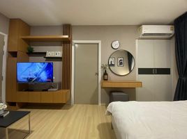 1 Schlafzimmer Appartement zu vermieten im Lesto Condo Sukhumvit 113, Samrong Nuea, Mueang Samut Prakan, Samut Prakan