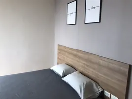 2 Schlafzimmer Wohnung zu verkaufen im Rhythm Sukhumvit 50, Phra Khanong