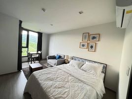 Studio Condo for sale at THE BASE Central Phuket, Wichit