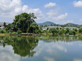  Land for sale in Phuket, Kathu, Kathu, Phuket