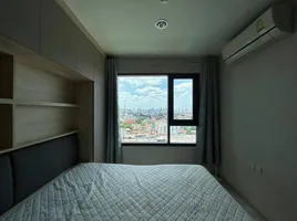 1 Bedroom Condo for rent at Life Pinklao, Bang Yi Khan