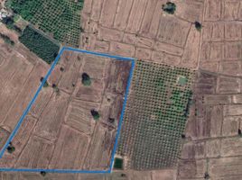  Land for sale in Phitsanulok, Chomphu, Noen Maprang, Phitsanulok