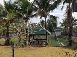 3 Schlafzimmer Haus zu verkaufen in Phrao, Chiang Mai, Wiang