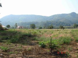 Land for sale in Mittraphap, Muak Lek, Mittraphap