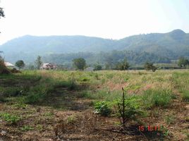  Land for sale in Saraburi, Mittraphap, Muak Lek, Saraburi