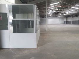  Warehouse for rent in Guayaquil, Guayaquil, Guayaquil