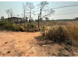  Grundstück zu verkaufen in Dan Sai, Loei, Khok Ngam, Dan Sai