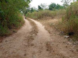  Grundstück zu verkaufen in Pluak Daeng, Rayong, Maenam Khu, Pluak Daeng, Rayong