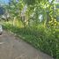  Grundstück zu verkaufen in San Felipe De Puerto Plata, Puerto Plata, San Felipe De Puerto Plata, Puerto Plata, Dominikanische Republik