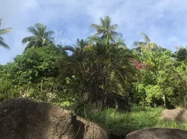 在素叻出售的 土地, Ko Tao, Ko Pha-Ngan, 素叻