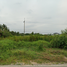  Land for sale in Mueang Nakhon Pathom, Nakhon Pathom, Bo Phlap, Mueang Nakhon Pathom
