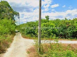  Grundstück zu verkaufen in Ban Hong, Lamphun, Lao Yao, Ban Hong, Lamphun, Thailand