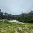  Land for sale in Koh Samui Surat Thani, Maret