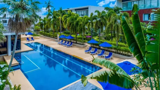 Photos 1 of the Communal Pool at Lotus Gardens