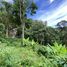  Land for sale in Big Buddha, Karon, Karon