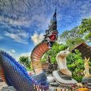 หนองวัวซอ