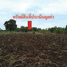  Land for sale in Nai Mueang, Phimai, Nai Mueang