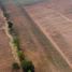  Grundstück zu verkaufen in Bamnet Narong, Chaiyaphum, Khok Roeng Rom, Bamnet Narong