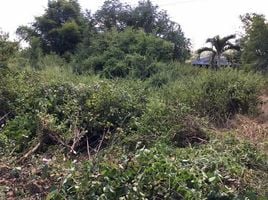  Land for sale in Tha Li, Loei, Tha Li, Tha Li