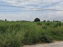  Grundstück zu verkaufen in Si Racha, Chon Buri, Nong Kham, Si Racha, Chon Buri