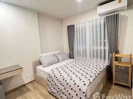 Studio Appartement zu vermieten im S61 Sukhumvit, Khlong Tan Nuea