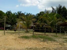 Grundstück zu verkaufen in Rio Preto Da Eva, Amazonas, Rio Preto Da Eva, Amazonas, Brasilien