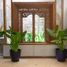 3 Bedroom Villa for sale in Badung Bali, Kuta, Badung, Bali
