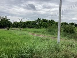  Land for sale in Saraburi, Tan Diao, Kaeng Khoi, Saraburi