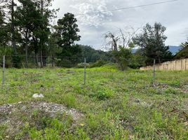  Land for sale in Palmira, Boquete, Palmira