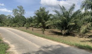 N/A Grundstück zu verkaufen in Bang Muang, Phangnga 