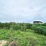  Land for sale in Bang Sare, Sattahip, Bang Sare