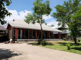 1 Schlafzimmer Haus zu verkaufen in San Sai, Chiang Mai, Nong Yaeng