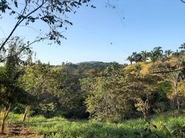  Grundstück zu verkaufen in Sona, Veraguas, Calidonia, Sona, Veraguas