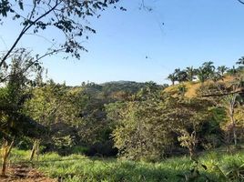  Land for sale in Calidonia, Sona, Calidonia