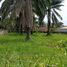  Land for rent in Si Sunthon, Phuket, Si Sunthon, Thalang