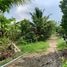  Land for sale in Sam Phran Nakhon Pathom, Rai Khing, Sam Phran