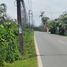  Land for sale in Thalang National Museum, Si Sunthon, Si Sunthon
