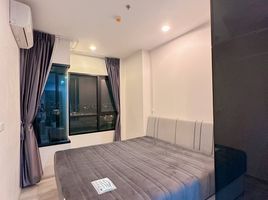 1 Schlafzimmer Appartement zu vermieten im Niche MONO Mega Space Bangna, Bang Kaeo, Bang Phli