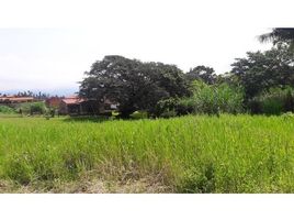  Land for sale in Grecia, Alajuela, Grecia